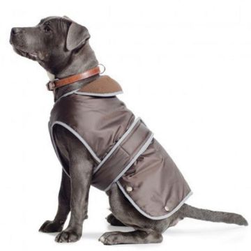 Picture of Ancol Stormguard Dog Coat - Chocolate X-Small 10" x 1