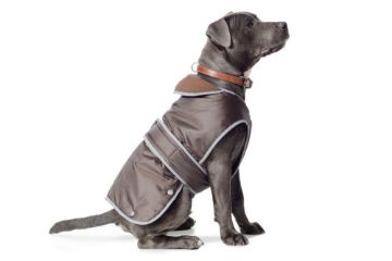 Picture of Ancol Stormguard Dog Coat - Chocolate XX-Large 26"-30" x 1