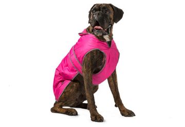 Picture of Ancol Stormguard Dog Coat - Pink Small 10"-14" x 1