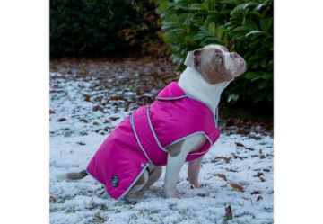 Picture of Ancol Stormguard Dog Coat - Pink X-Small 10" x 1