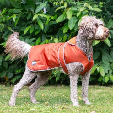 Picture of Ancol Stormguard Dog Coat Terracotta Large 50cm x 1