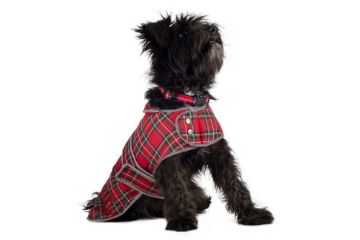 Picture of Ancol Highland Tartan Coat - Small 10 - 14" x 1