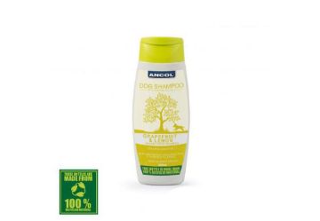 Picture of Ancol Dog Shampoo - Grapefruit & Lemon 200ml x 6