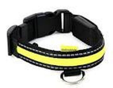 Picture of Animates Soft Nylon LED Collar - Small 13½" - 16" Green x 1