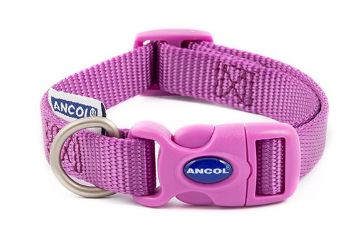 Picture of Ancol Viva Nylon Quick-Fit Collar 20-30cm S Size 1-2 Purple x 1 