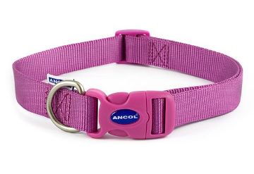 Picture of Ancol Viva Nylon Quick-Fit Collar 30-50cm L Size 5-9 Purple x 1