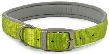 Picture of Ancol Viva Nylon Buckle Collar 35-43cm Size 4 Lime x 1