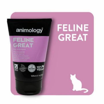 Picture of Animology Feline Great Cat Shampoo Peach 250ml x 1
