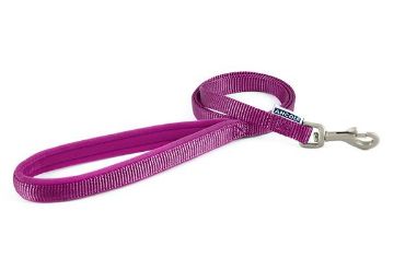 Picture of Ancol Viva Padded Nylon Snap Lead Purple 50kg 100 x 1.9cm x 1 