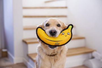 Picture of BAM! Bamnip Find It Banana x 1