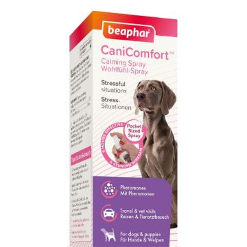 Picture of Beaphar DOG CaniComfort Calming Spray 30ml x 1
