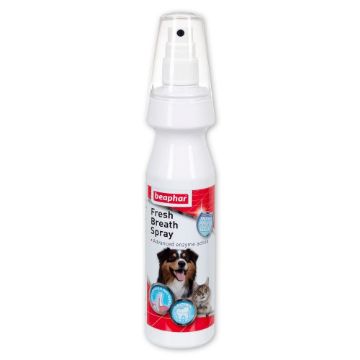Picture of Beaphar Fresh Breath Spray 150ml x 1