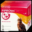 Picture of Beaphar FIPROtec Cat Flea Drops 4 Tube x 1