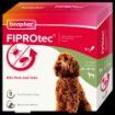 Picture of Beaphar FIPROtec Large Dog Flea Drops 4 Tube x 1
