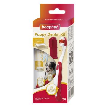 Picture of Beaphar Puppy Dental Kit (Toothbrush & Toothpaste) x 1