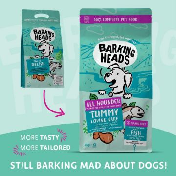 Picture of Barking Heads Adult Dog AH Tummy Lovin' Care Fish 2kg