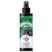 Picture of Bugalugs Anti-Bacterial Dental Spray 200ml x 1