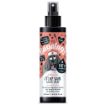 Picture of Bugalugs Antiseptic Itchy Skin Relief Spray 200ml x 1