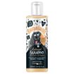Picture of Bugalugs Oatmeal, Coconut & Lime Shampoo 250ml x 1