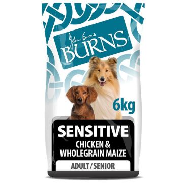 Picture of Burns Sensitive Dog Chicken & Maize 6kg