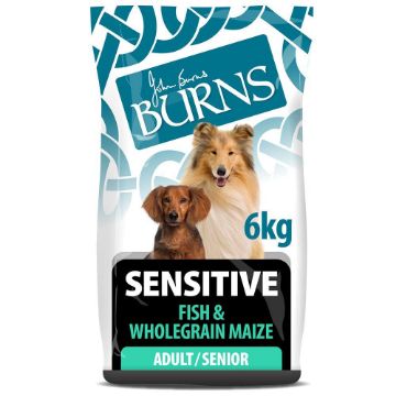 Picture of Burns Sensitive Dog Fish & Maize 6kg