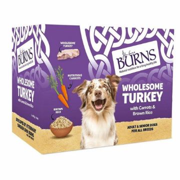 Picture of Burns Tray Adult Dog Wholesome Turkey 395g x 8