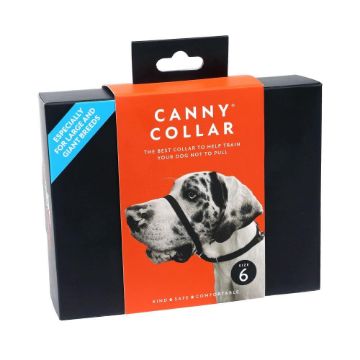 Picture of Canny Collar Size 6 Black x 1