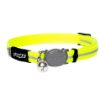 Picture of Rogz Alleycat Cat Collar - Dayglo x 1