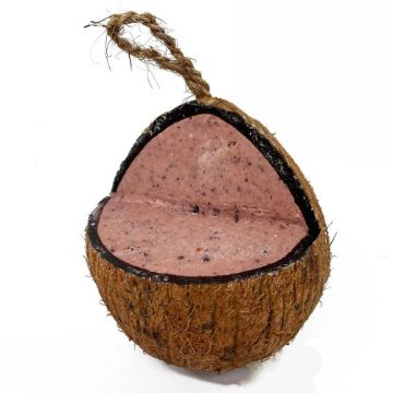 Picture of Love Wildlife Whole Coconut - Fruit & Berry x 10
