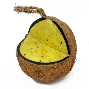 Picture of Love Wildlife Whole Coconut - Mealworm & Insect x 10