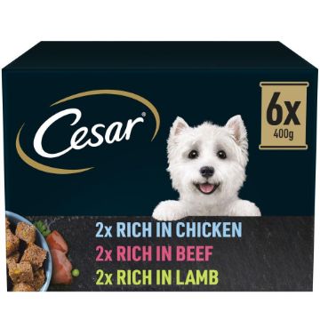 Picture of * Cesar Cans Natural Goodness Mixed Selection in Loaf 400g 6pk x 1
