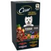 Picture of * Cesar Foil Tray Natural Goodness Mixed Selection in Loaf 100g 8pk x 3
