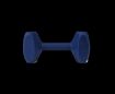 Picture of Coachi Training Dumbbell Small x 1