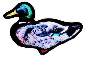 Picture of Country Pet Dog Toy - Tuff Duck Large x 1