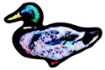 Picture of Country Pet Dog Toy - Tuff Duck Small x 1