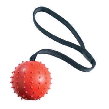 Picture of Classic Rubber Pimple Ball on Rope 70mm x 1