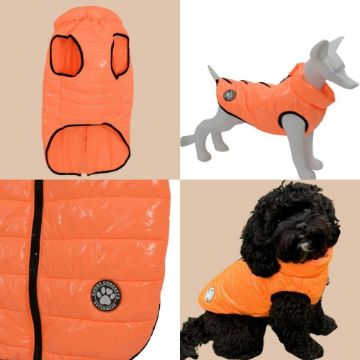 Picture of Doggy Concepts Puffer Coat Neon Orange Medium 40cm x 1