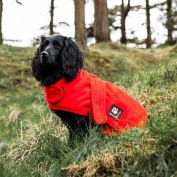 Picture of * Danish Design Towelling Dog Robe 50cm Red x 1