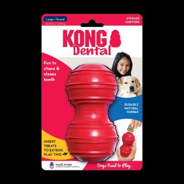 Picture of KONG Dental Kong - Large x 1