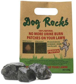 Picture of Dog Rocks - Bulk 600g x 1