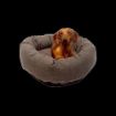 Picture of z [DISC] Danish Design Allsorts Donut Bed Medium (64cm) Charcoal Grey x 1