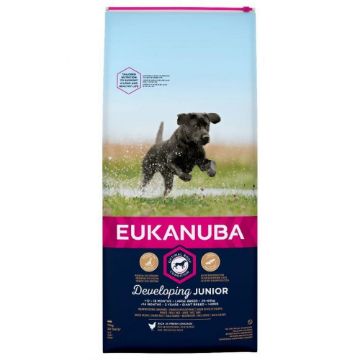 Picture of Eukanuba Junior Large Breed Chicken 12kg