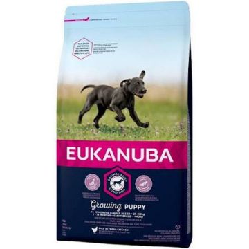 Picture of Eukanuba Puppy Large Breed Chicken 12kg