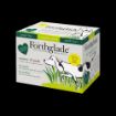 Picture of Forthglade Complete Grain Free Adult Variety Lamb/Turkey 395g 12pk x 1
