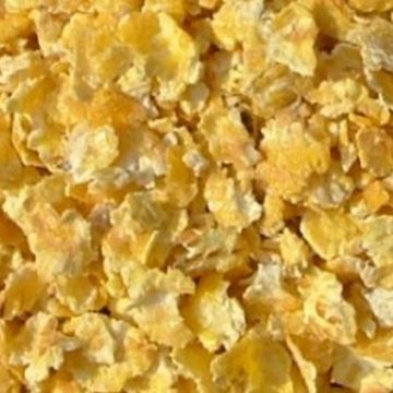 Picture of Flaked Maize 20kg