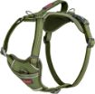 Picture of Halti Anatomy Harness Small Green x 1