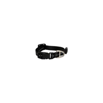 Picture of ROGZ Classic Collar Black XS 16-22cm x 1