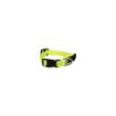 Picture of ROGZ Classic Collar Dayglo XS 16-22cmx 1