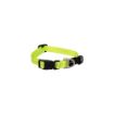 Picture of ROGZ Classic Collar Dayglo Small 20-31cm x 1