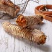 Picture of Hollings Trachea Large x 10